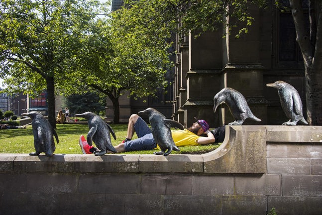 Dundee Penguins and Student