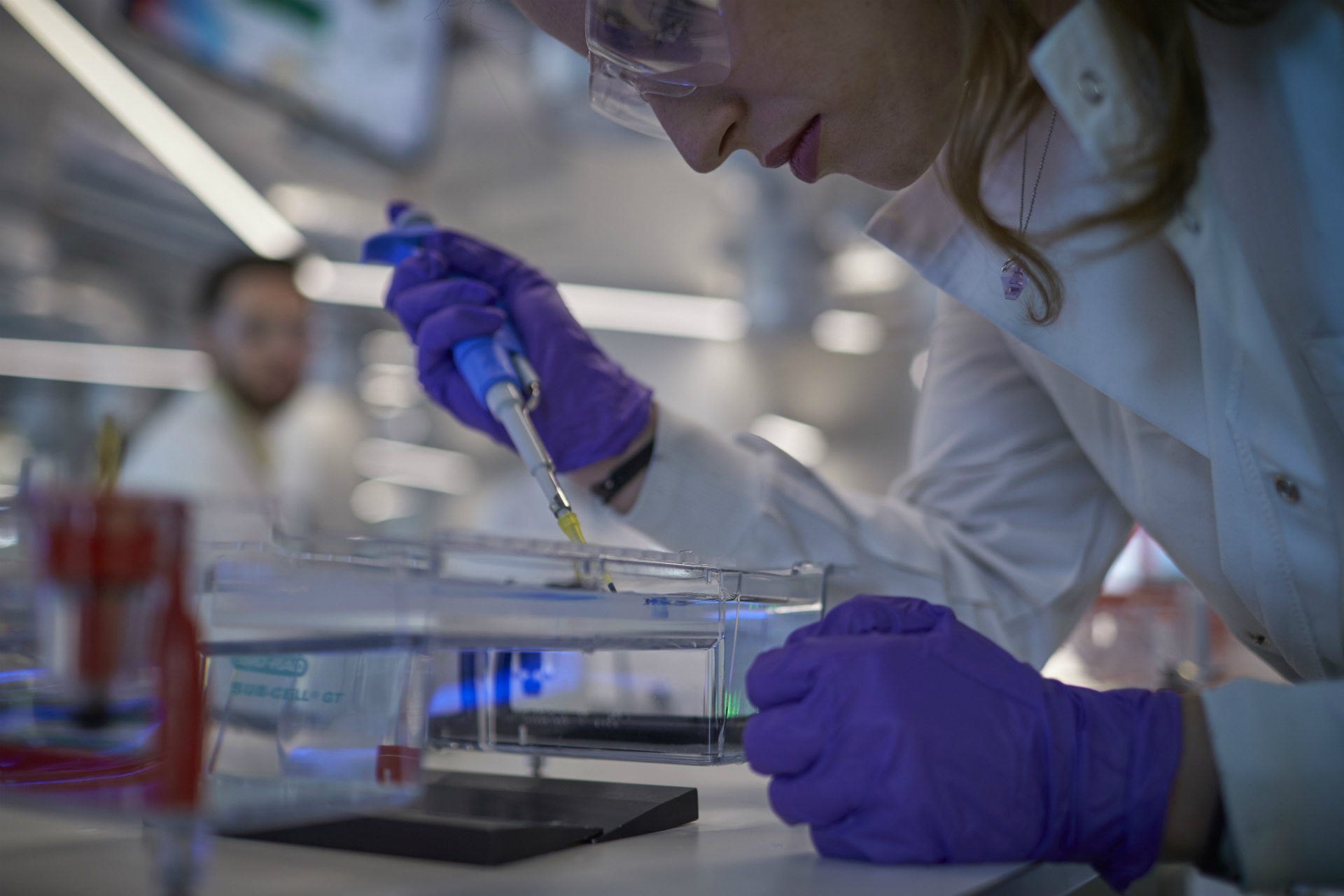 Biomedical Science Degree Abertay University