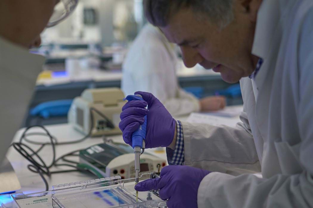 Male using laboratory equipment