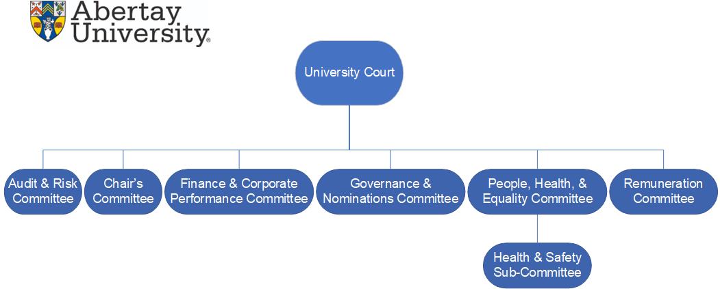 A structure diagram showing that the Audit and Risk committee, the Chair's committee, the Finance and Corporate Performance committee, the Governance and Nominations committee, the People, Health and Equality committee and the Remuneration committee, as well as the Health and Safety sub-committee all fall under University Court