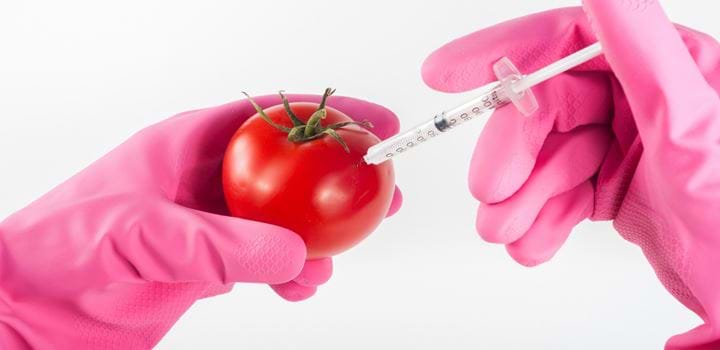 A tomato being injected via syringe 