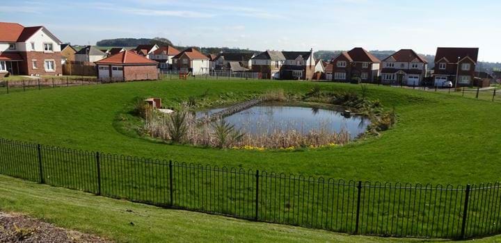 Retention Pond in Ardler, Dundee