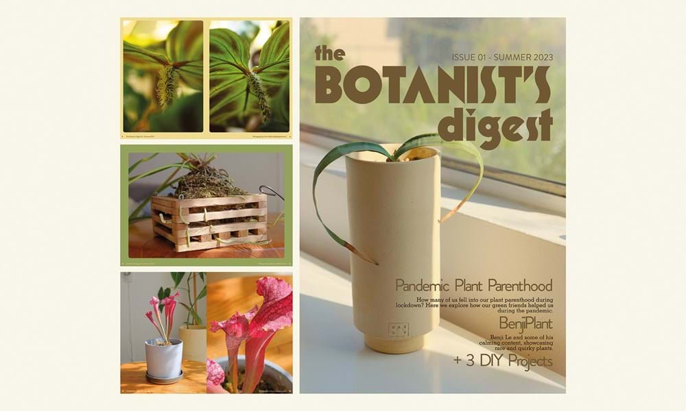 'The Botanist's Digest' - Evoking Emotions Through Layout Design and Typography' is a 2023 Digital Graduate Show project by Nicholas Morton, a Computer Arts student at Abertay University.