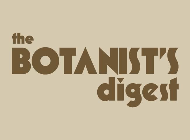 'The Botanist's Digest' - Evoking Emotions Through Layout Design and Typography' is a 2023 Digital Graduate Show project by Nicholas Morton, a Computer Arts student at Abertay University.